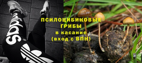 каннабис Ростов