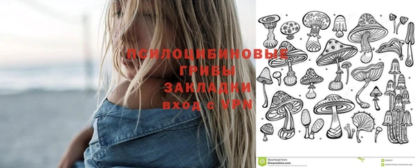 мдпв Россошь