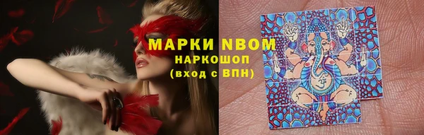 дживик Саяногорск