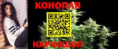 круглые Камышлов