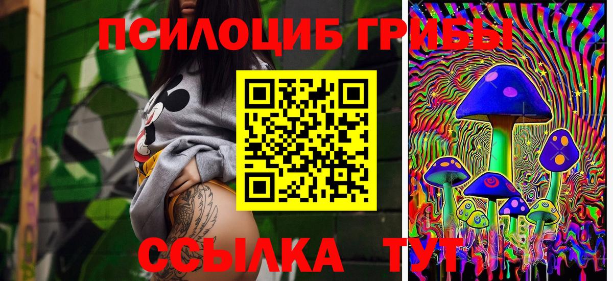 Псилоцибиновые грибы мицелий Славянск-на-Кубани