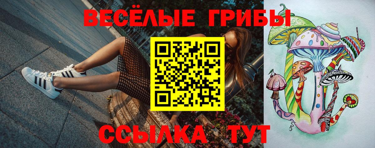 Псилоцибиновые грибы GOLDEN TEACHER  Славянск-на-Кубани 