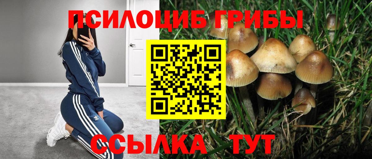 Славянск-на-Кубани  Галлюциногенные грибы мухоморы  Вход с VPN 
